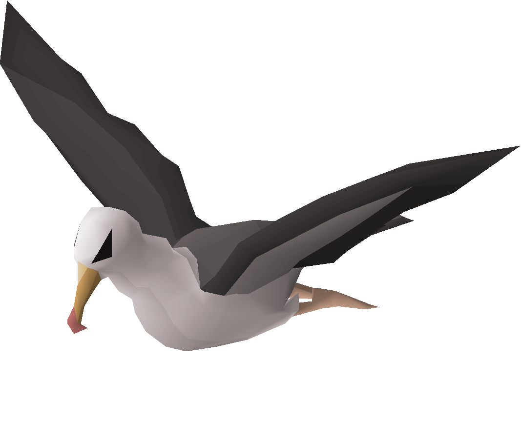 Albatross