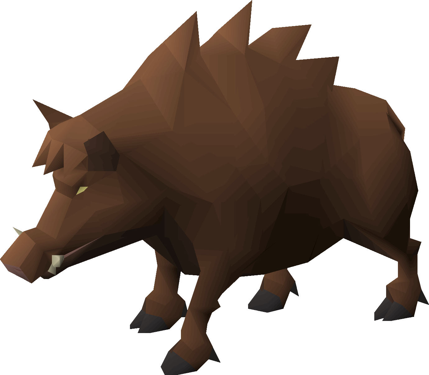 Boar