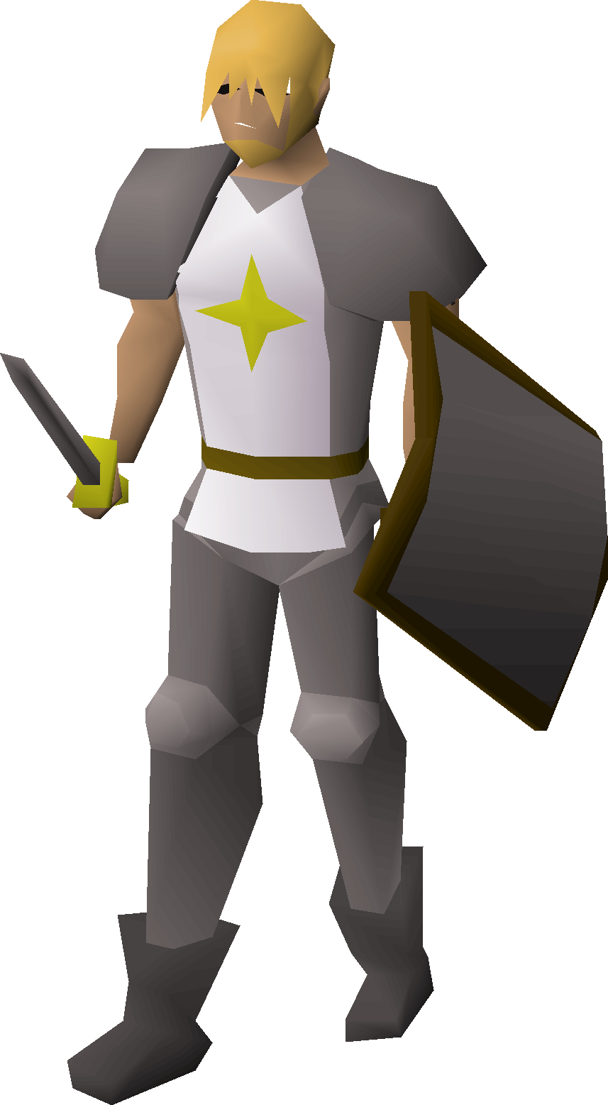 Paladin (Song of the Elves)