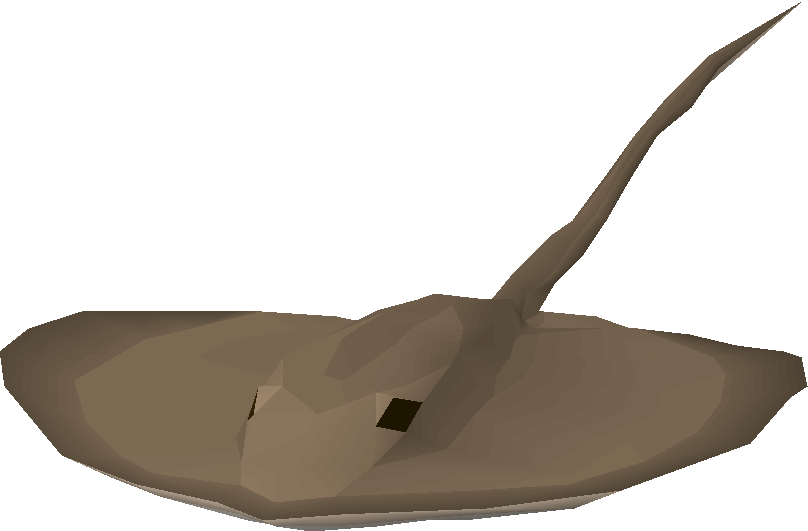Stingray