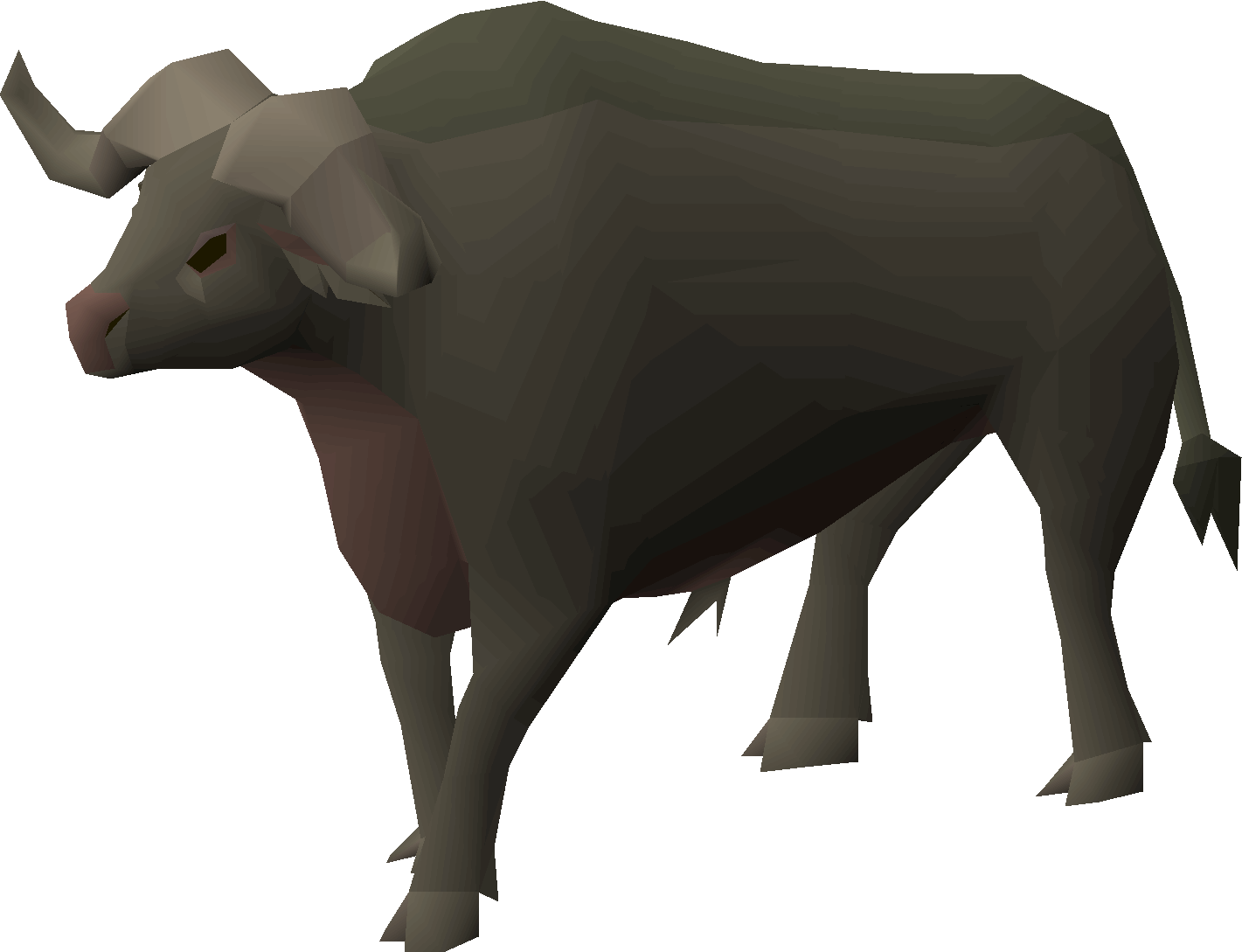 Buffalo