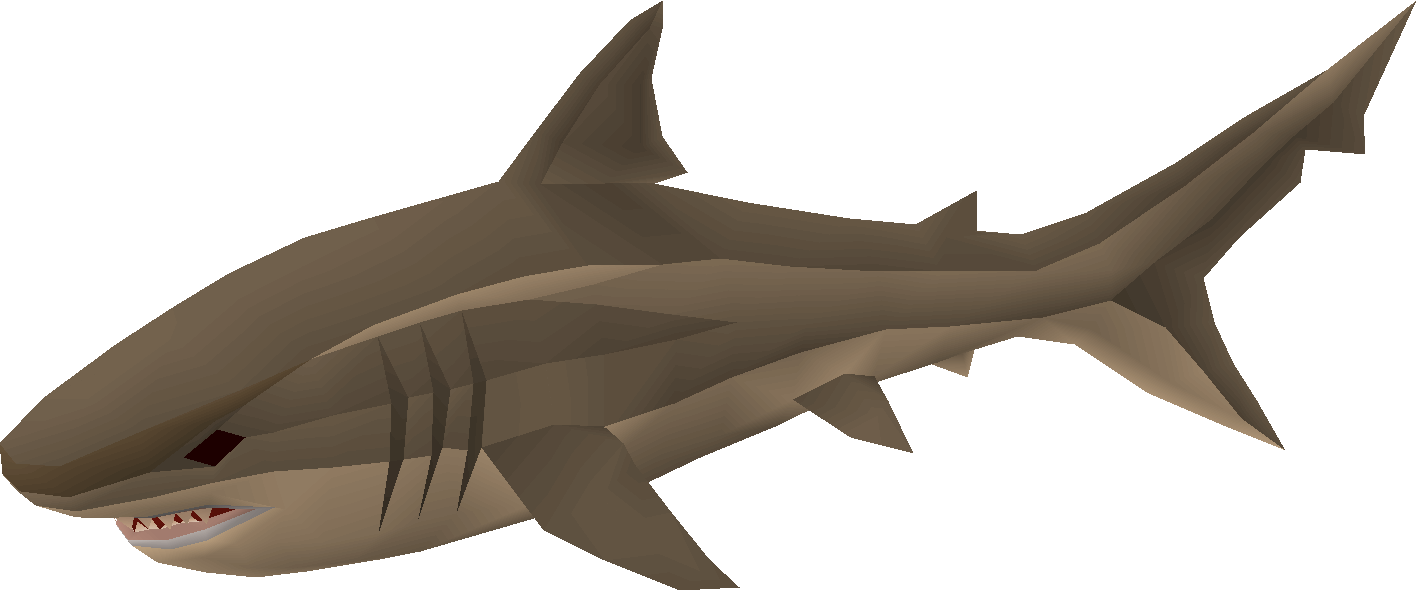 Bull shark