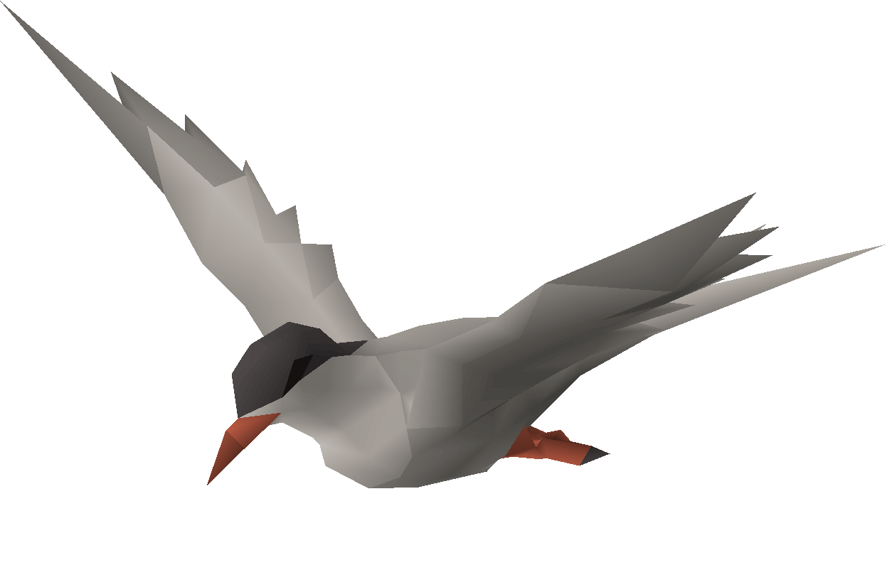 Tern