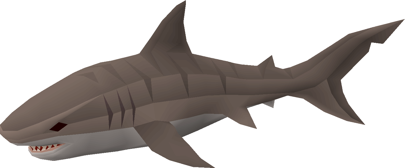 Tiger shark