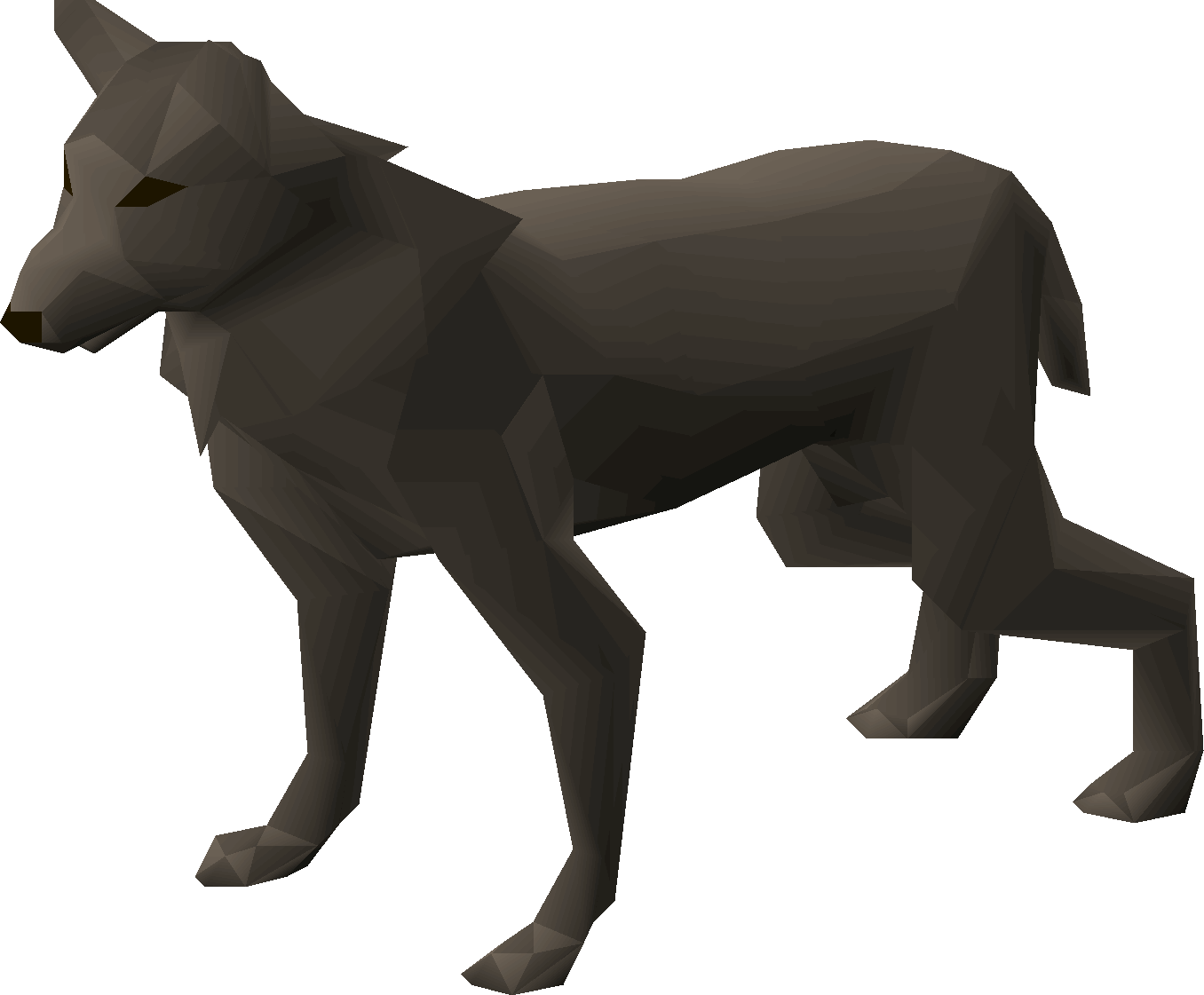 Wild dog