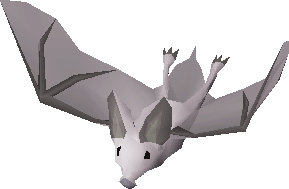 Albino bat