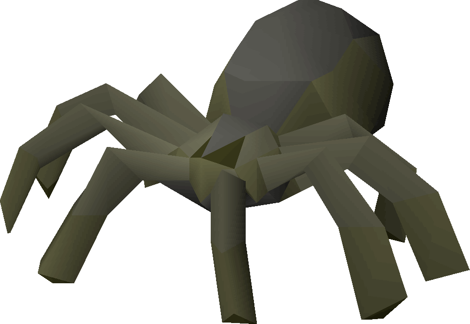 Spider