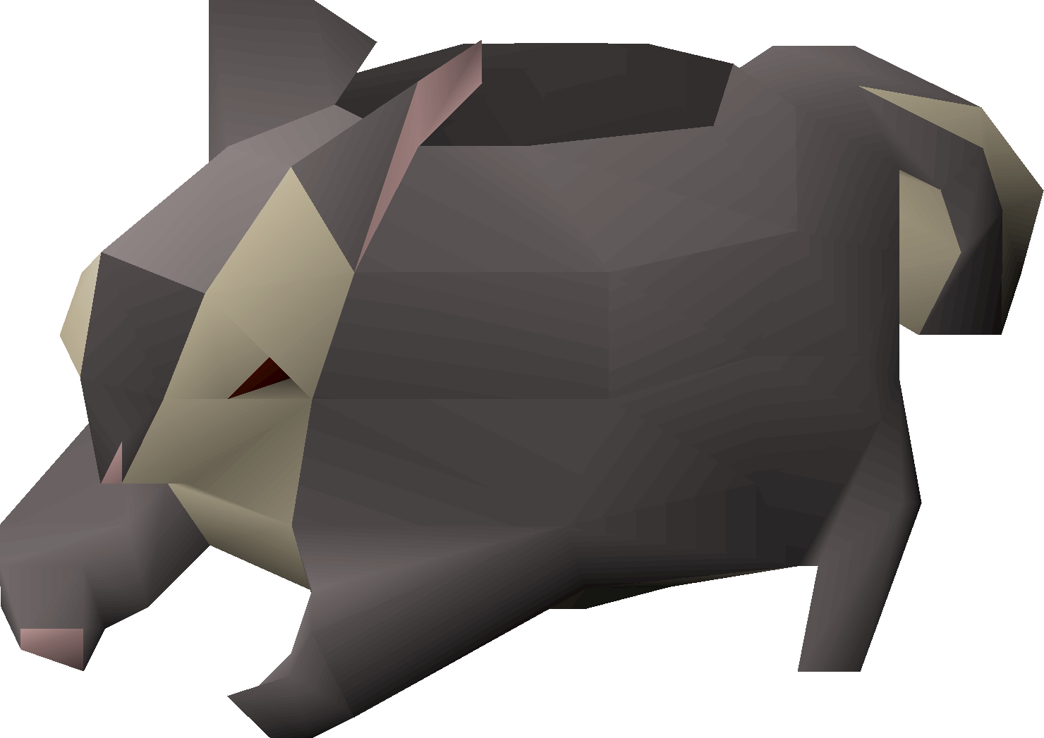 Black chinchompa (Hunter)