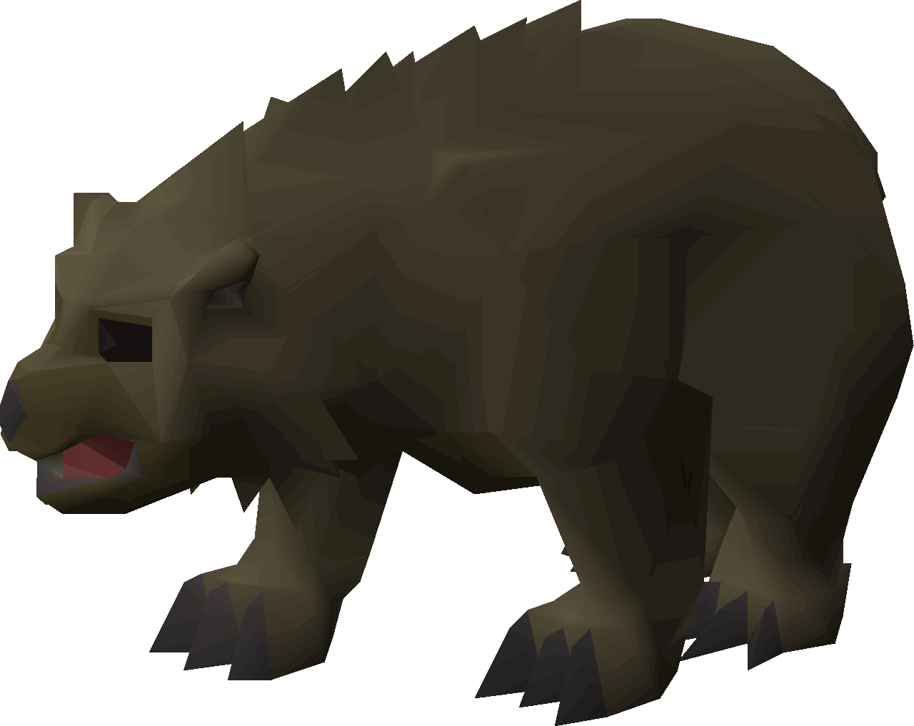 Bear Cub