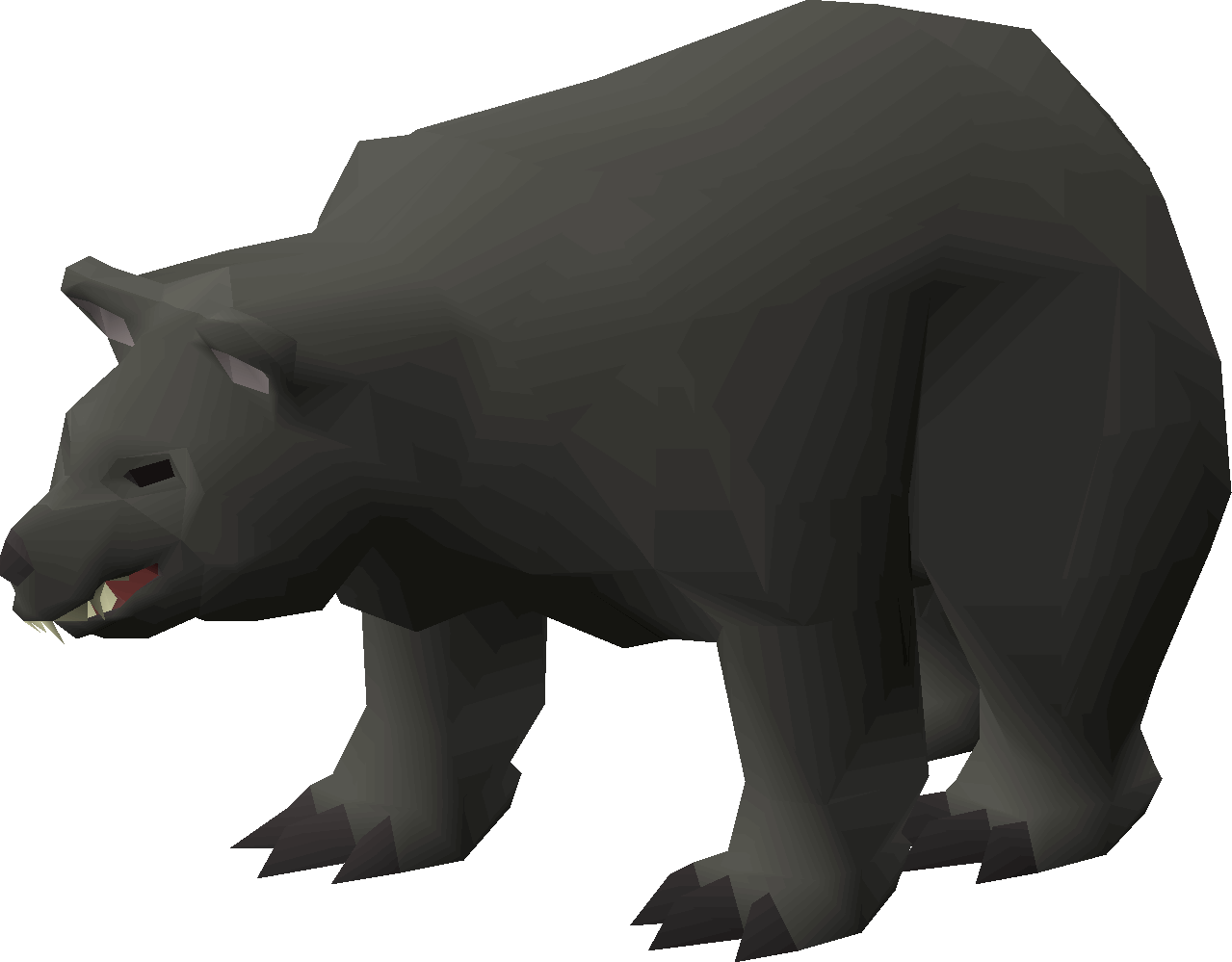Black bear