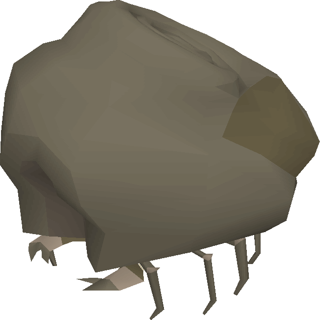 Ammonite Crab