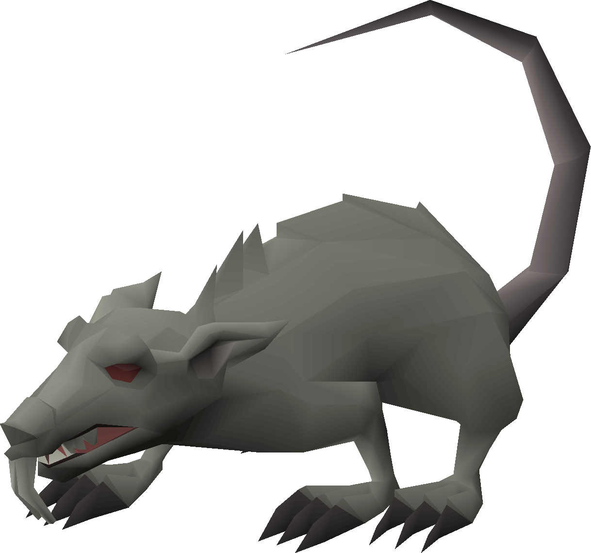 Blessed giant rat
